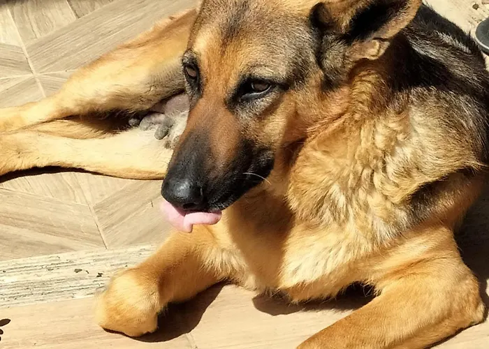 Reggia Saracena Bauernhof Agrigent