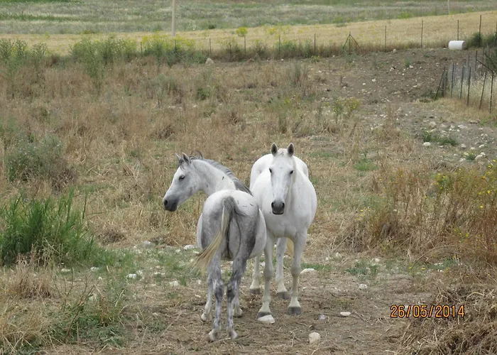 Reggia Saracena Agrigent